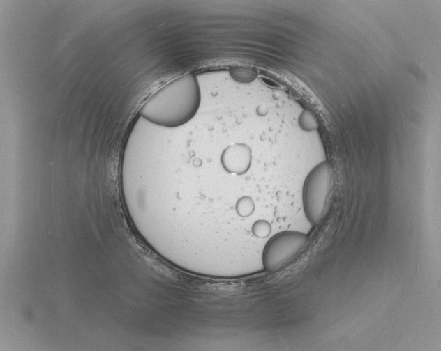 X0000115840937200912111330