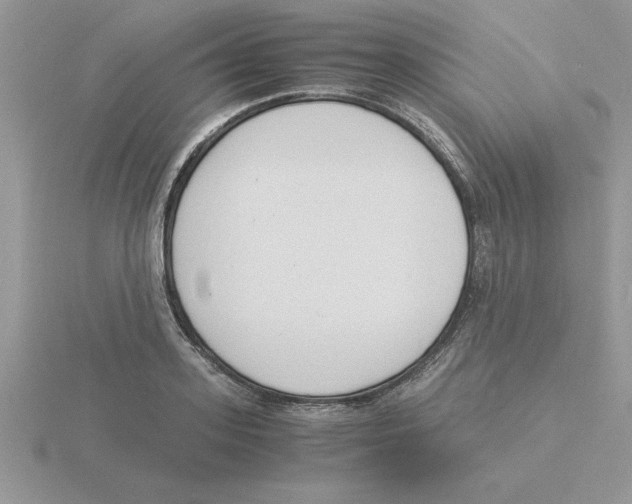 X0000115840939200912111330