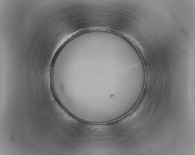 X0000115840941200912111330