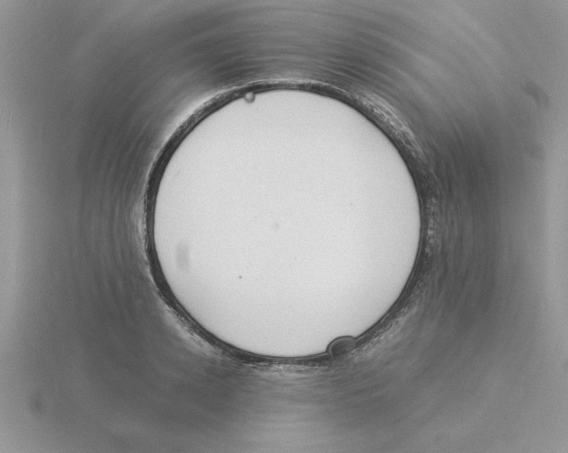 X0000115840942200912111330