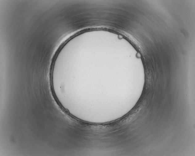 X0000115840943200912111330