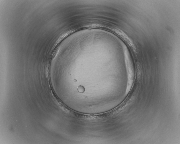 X0000115840945200912111330