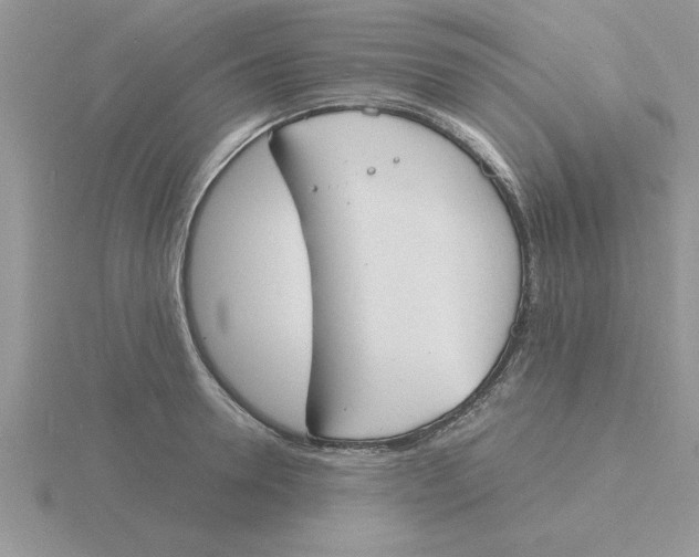 X0000115840946200912111330