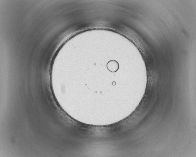 X0000115840950200912111330