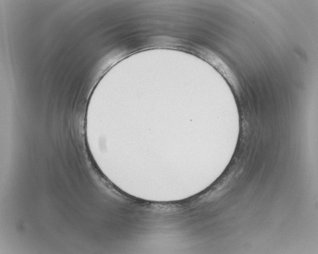 X0000115840954200912111330