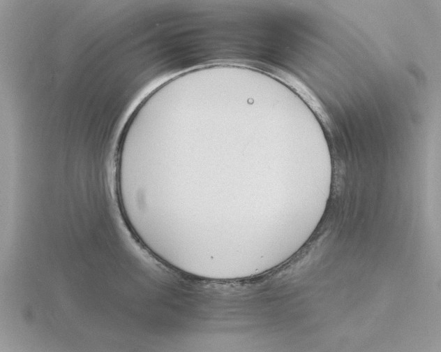 X0000115840955200912111330