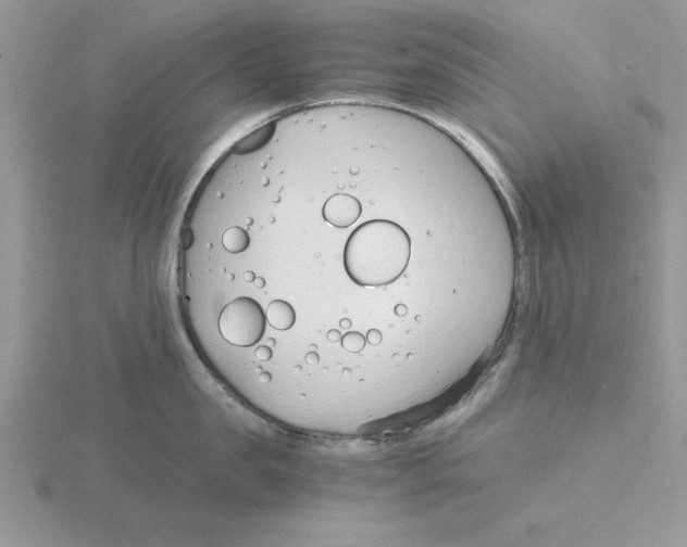 X0000115840957200912111330