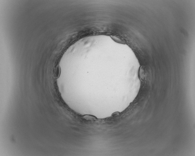 X0000115840961200912111329