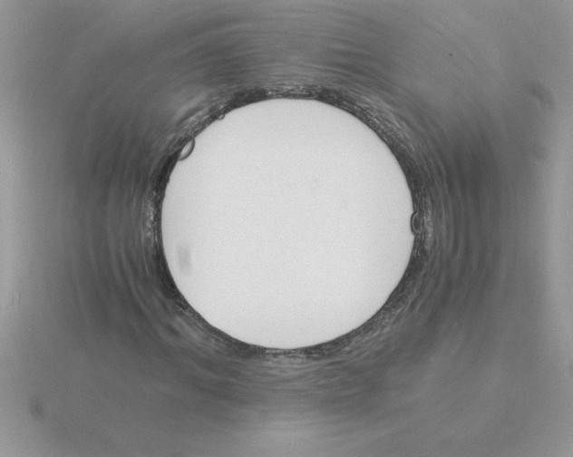 X0000115840964200912111329