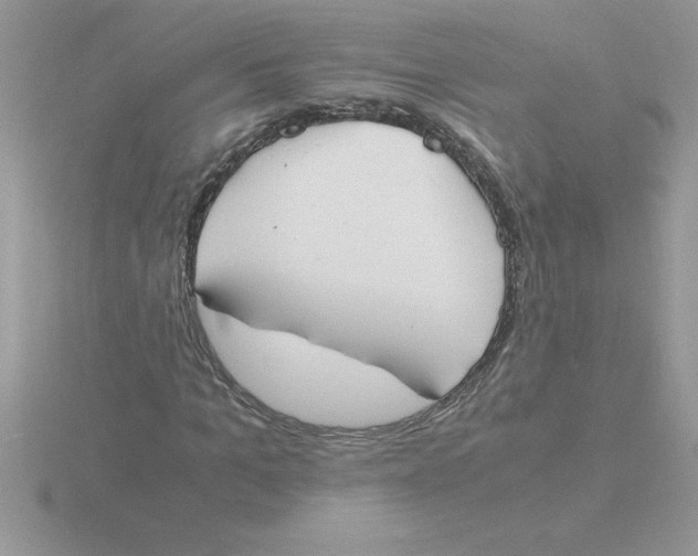 X0000115840965200912111329