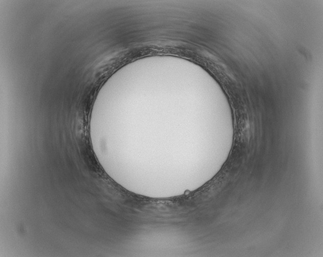 X0000115840966200912111329