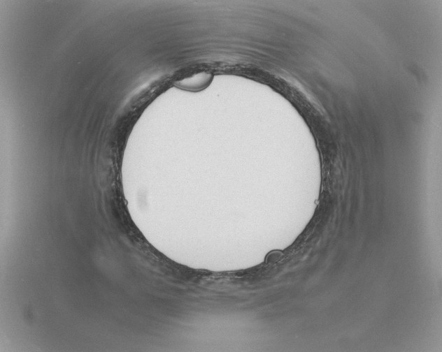 X0000115840967200912111329