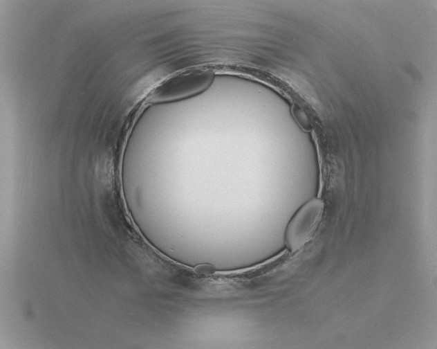 X0000115840969200912111329