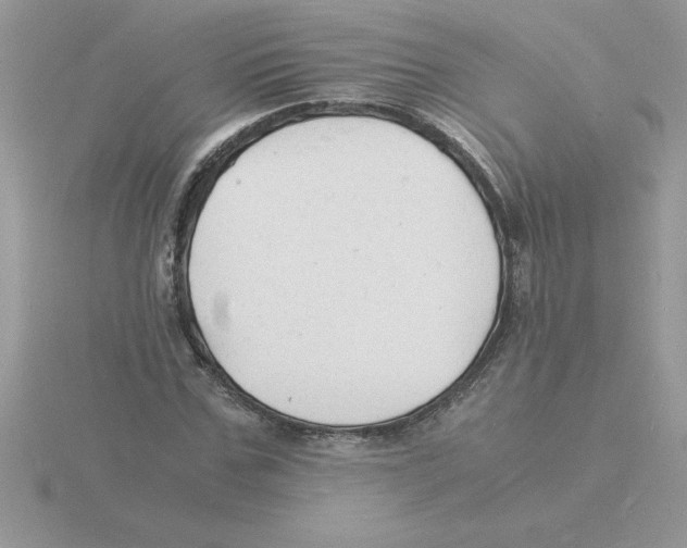 X0000115840971200912111329