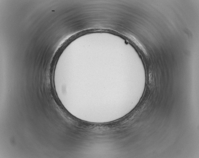 X0000115840972200912111329