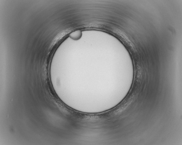 X0000115840978200912111329