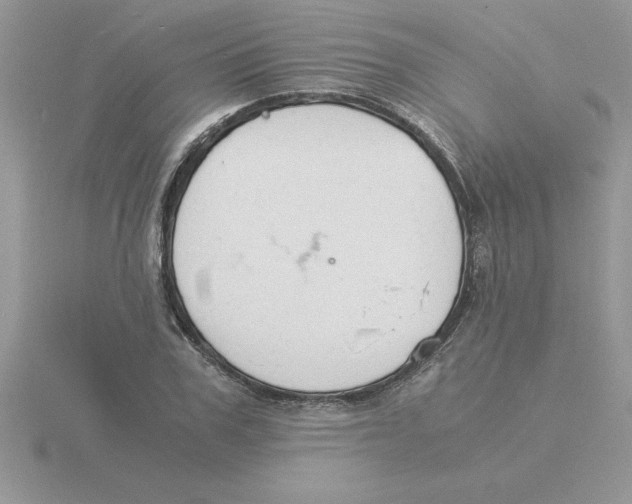 X0000115840979200912111329