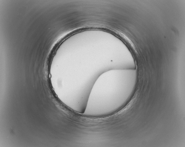 X0000115840981200912111329