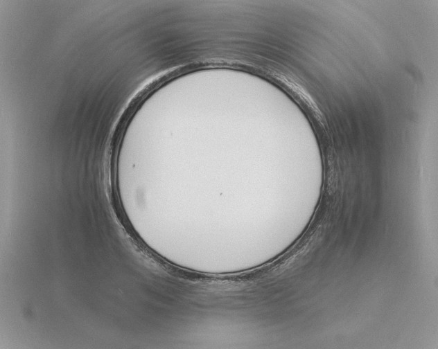 X0000115840984200912111329