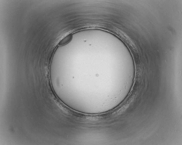 X0000115840985200912111329