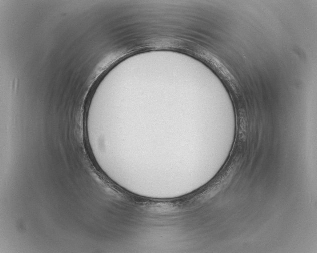 X0000115840986200912111329