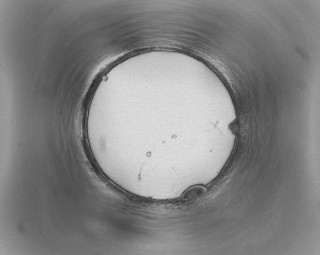 X0000115840987200912111329