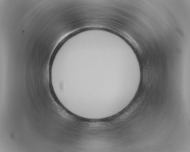 X0000115840988200912111329