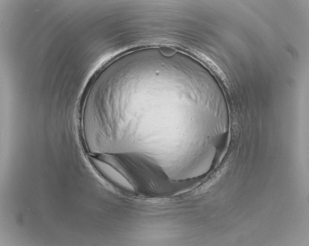 X0000115840989200912111329