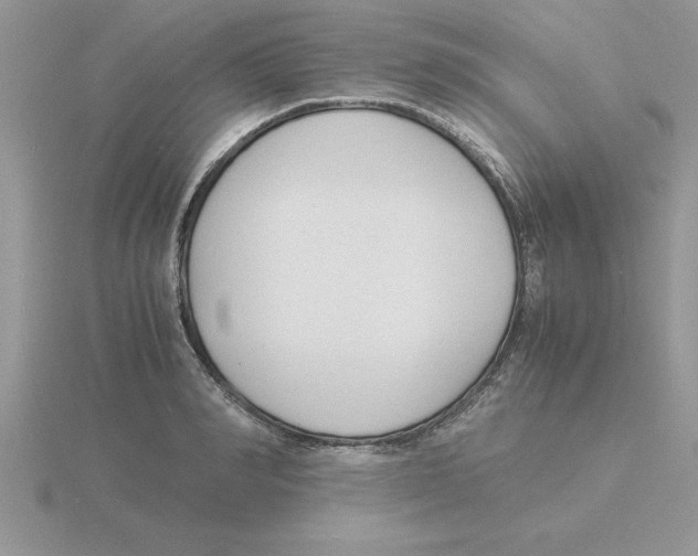 X0000115840990200912111329