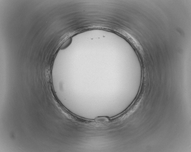 X0000115840993200912111329