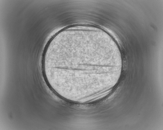 X0000115840995200912111329