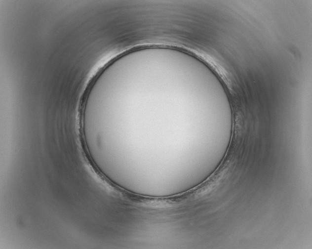 X0000115840998200912111329