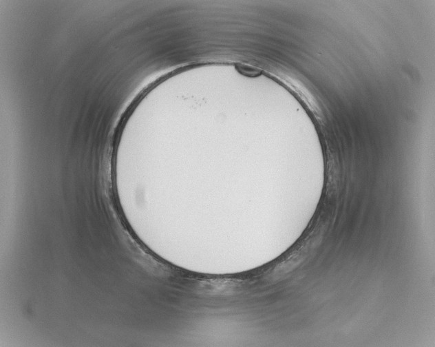 X0000115841000200912111329