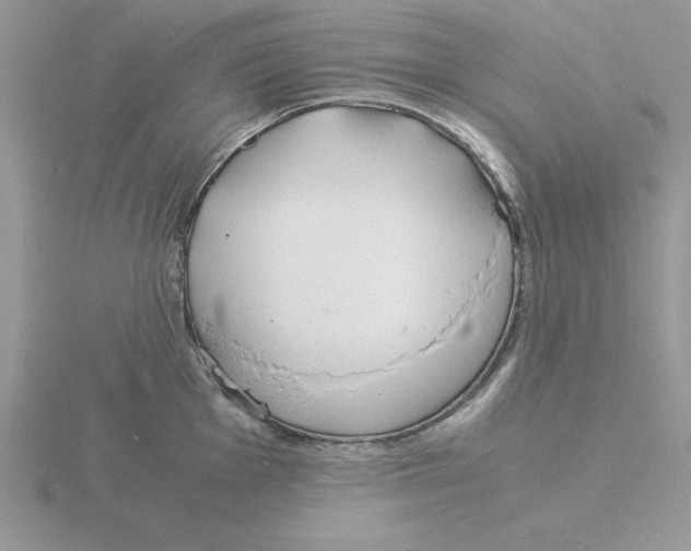 X0000115841001200912111329