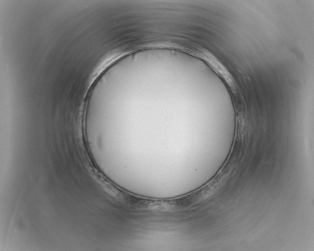 X0000115841002200912111329