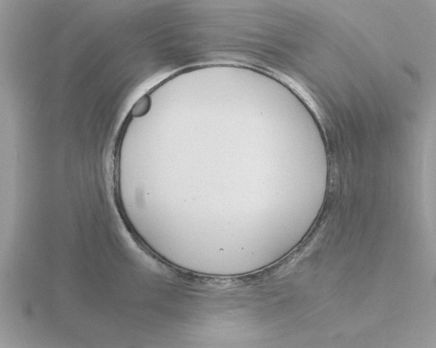 X0000115841003200912111329