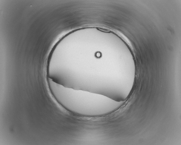 X0000115841005200912111329