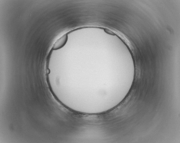 X0000115841006200912111329