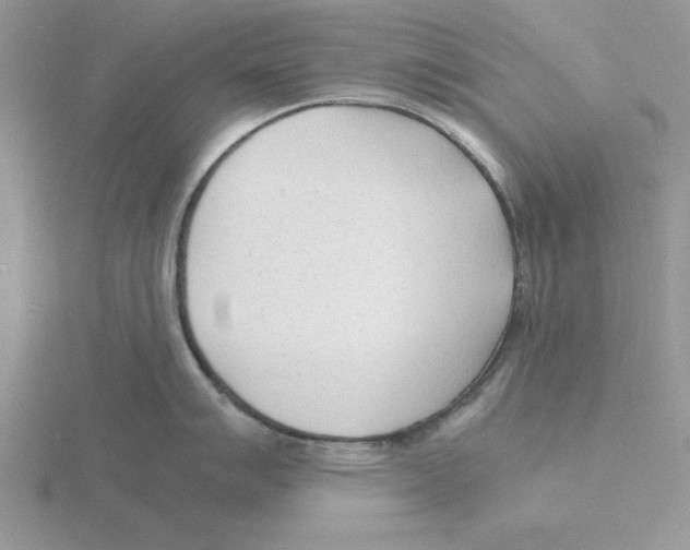 X0000115841007200912111329