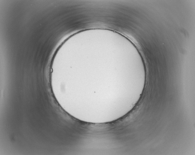 X0000115841008200912111329