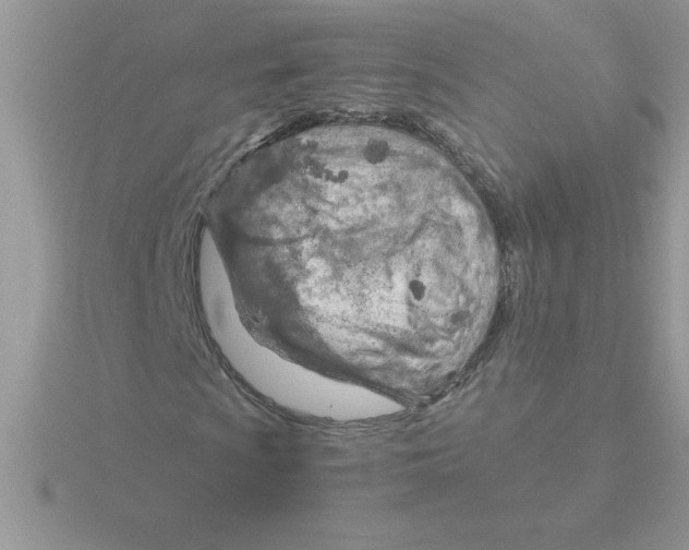 X0000115841009200912111328