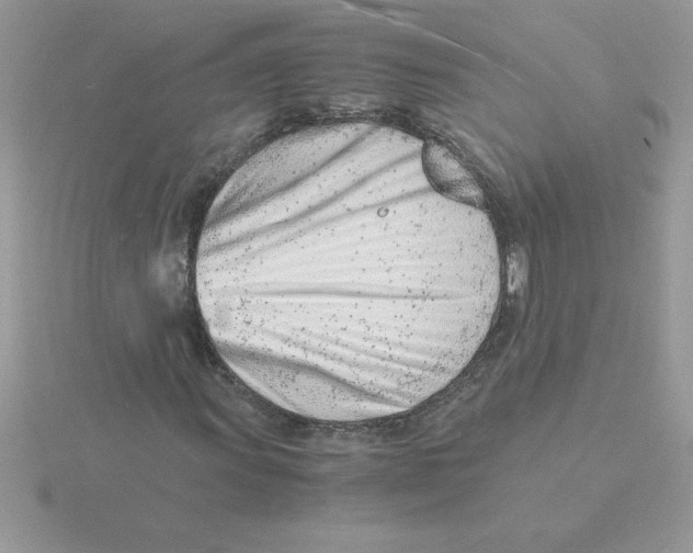 X0000115841011200912111328