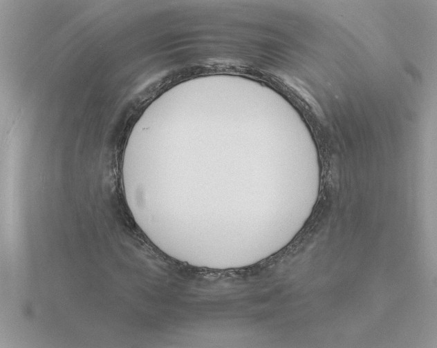 X0000115841015200912111328