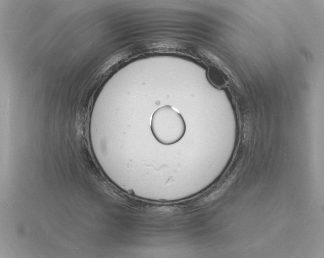 X0000115841017200912111328