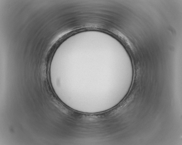 X0000115841019200912111328