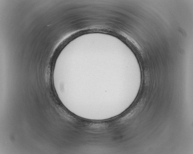 X0000115841021200912111328