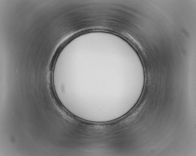 X0000115841029200912111328