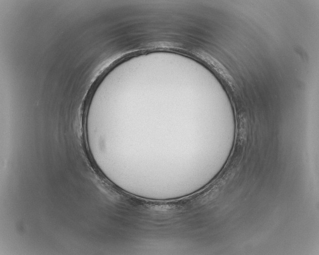 X0000115841031200912111328