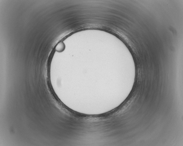 X0000115841034200912111328