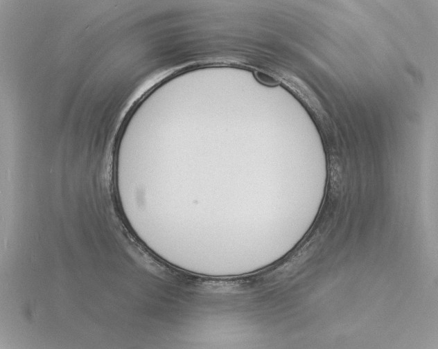 X0000115841044200912111328